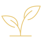 Responsibly sourced GOLD RGB 500px