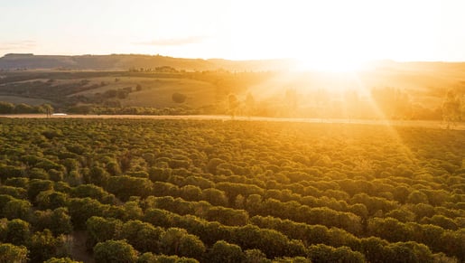 Jacobs Desktop Field @2x